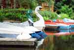 Swanee und Sweety